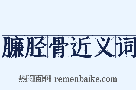 臁胫骨近义词是什么意思的图片